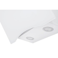 EX-1116_white(carolina)_4